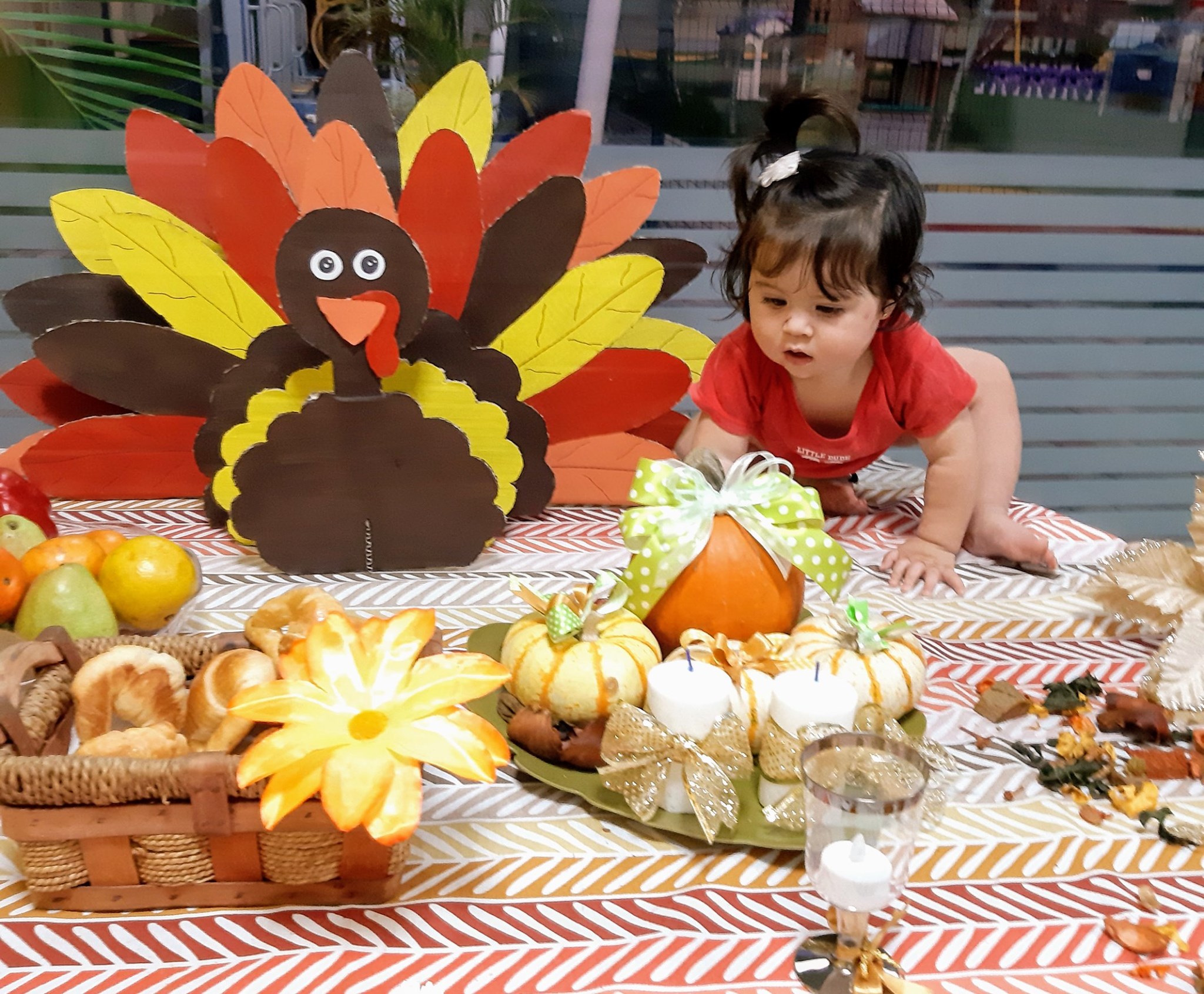 Thanksgiving, Campoverde for Babies